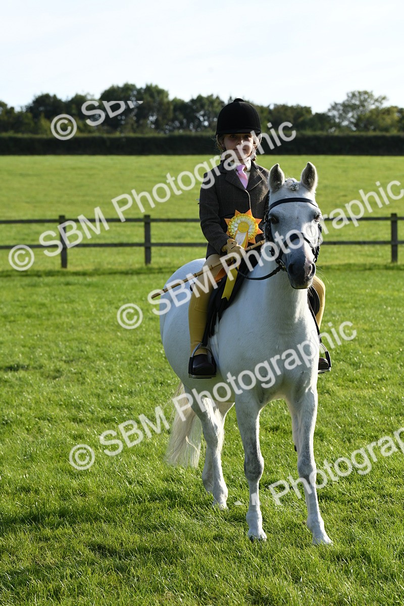 SBM_52448 - S22 - 1st Ridden Show & Show Hunter Pony