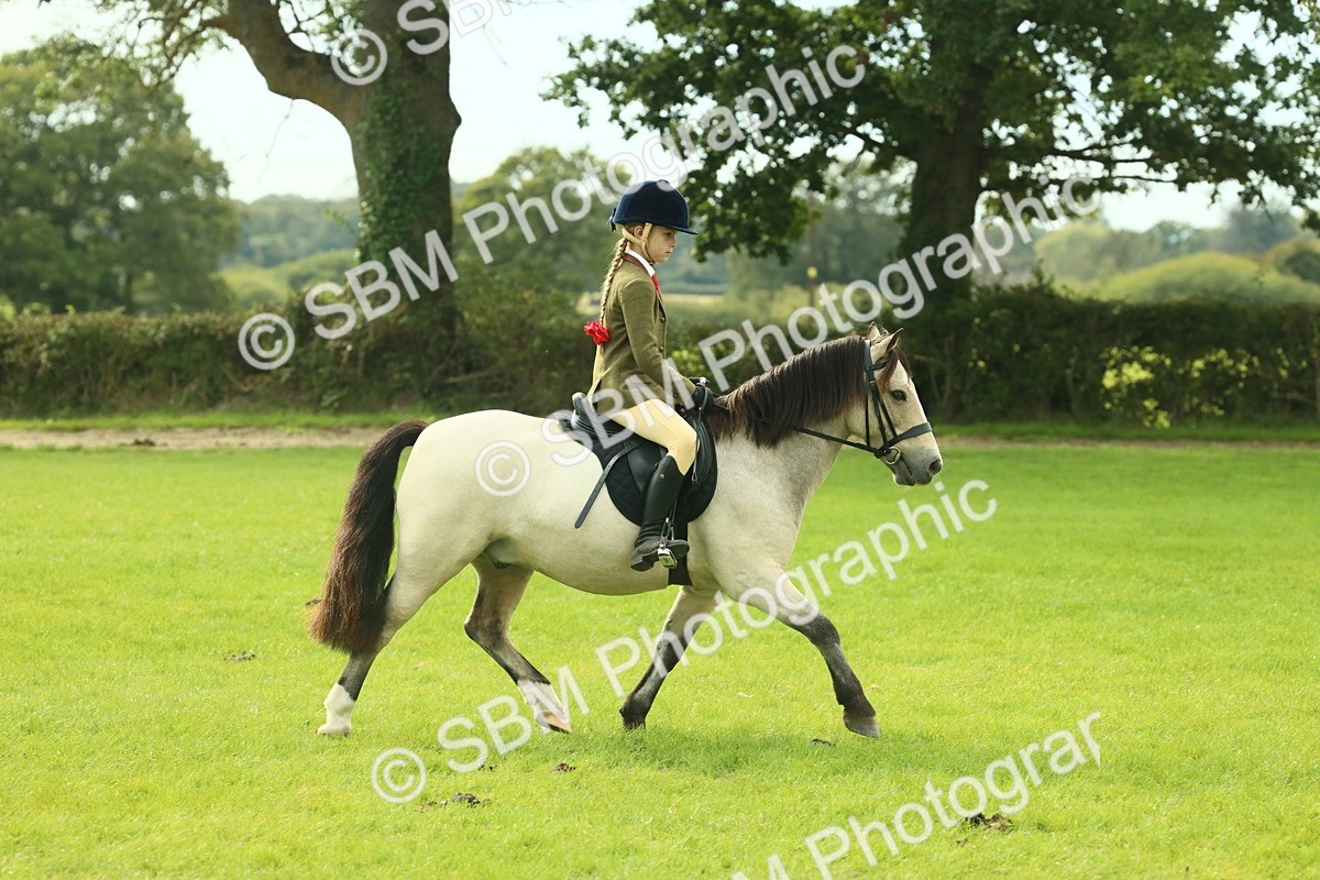 SBM_69791 - S59 - Mountain & Moorland Ridden Small Breeds