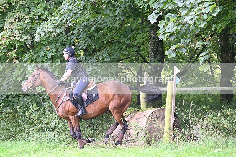 WJ7_8004 - Time 14:04 to 14:10