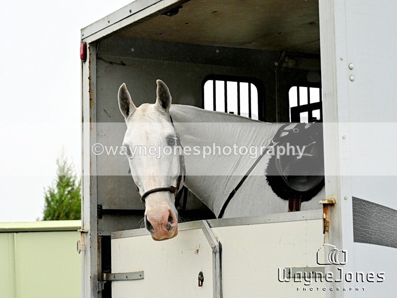 WJ7_7875 - Berks & Bucks Blackcroft Farm 20-10-24