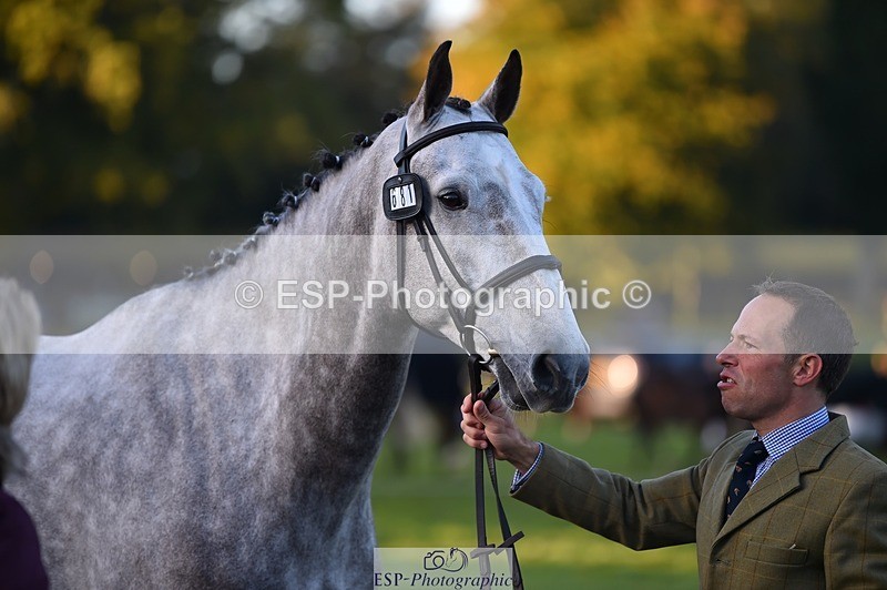 231022-083558-21250 - 681-CAPPA.OREO-Will.van.Ufford-TrotUp+SJ