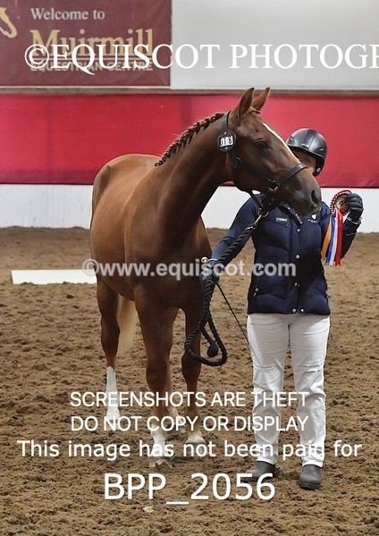 BPP_2056 - AFTERNOON 12.30 - 3.30PM