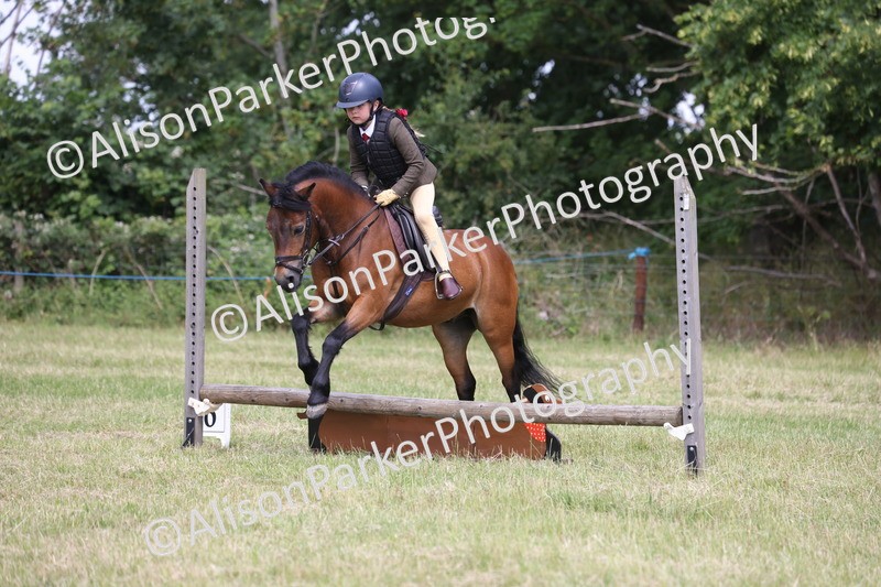 20260614-1821 - Class 21 - Novice Working Hunter Pony