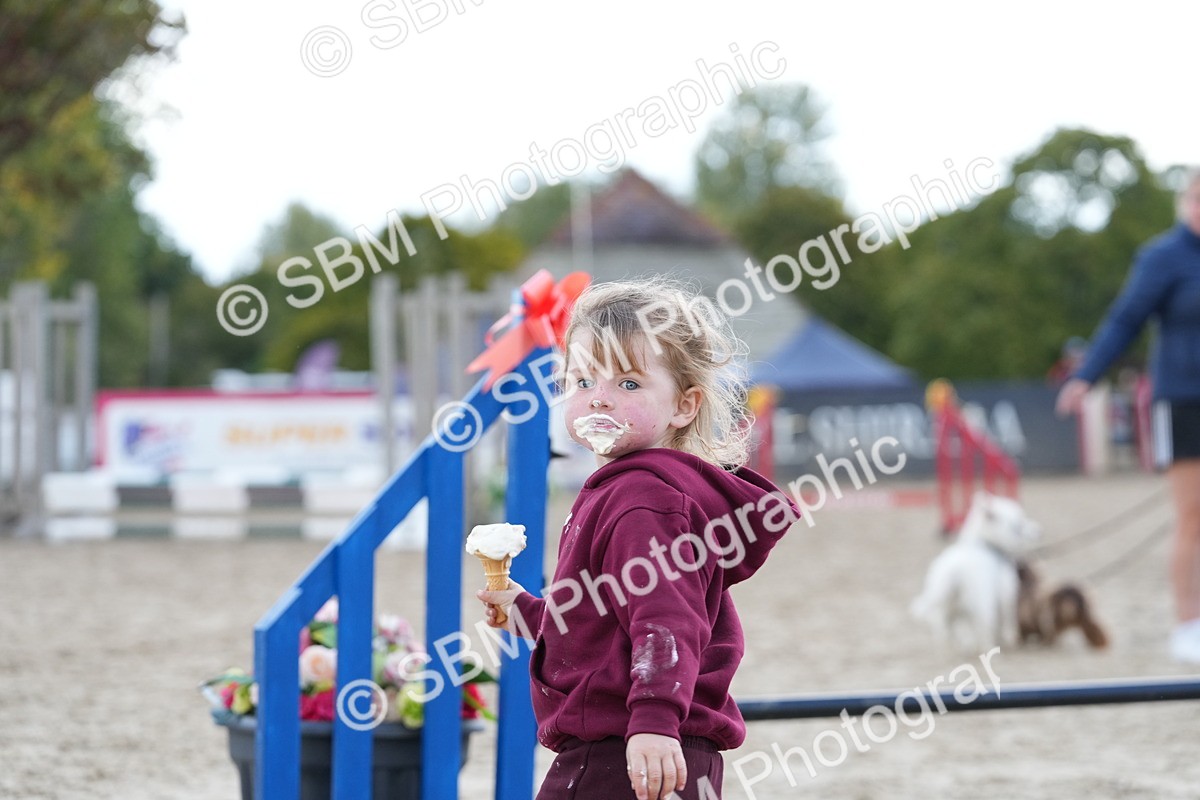 SBM_28942 - J43 - Horse & Hound Open 50cm