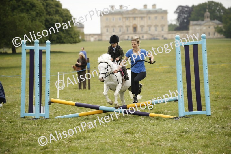 20250517-0145 - Class 1 - 30cm On Lead Rein