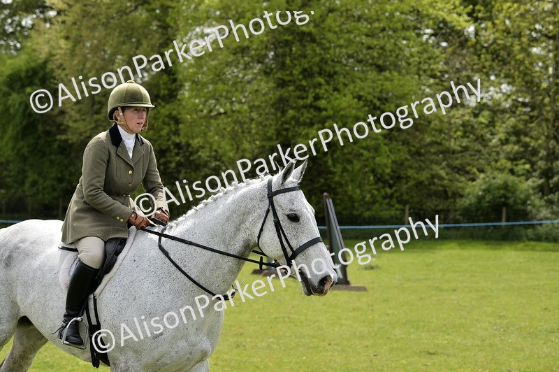 20260426-3667 - Class 22 - Working Hunter