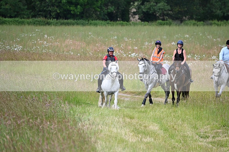 WJ6_8033 - Camera 1 Gallops