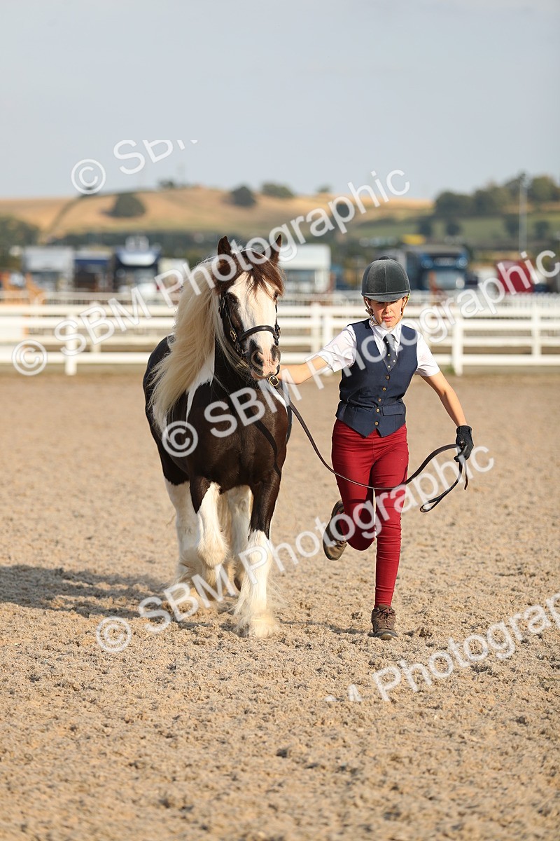 SBM_09079 - Class 29 IH Veteran Pony