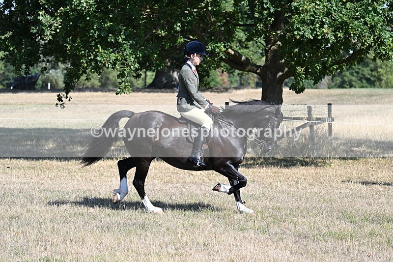 WJ7_3715 - Class 9 Mountain & Moorland Ridden