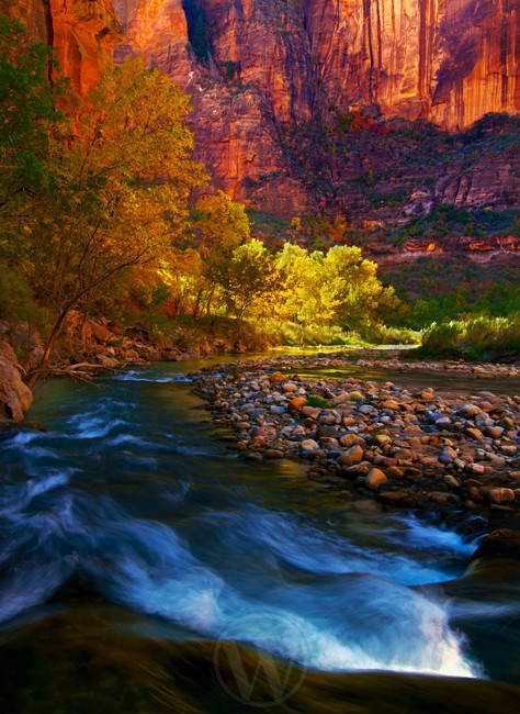 Zion National Park Utah USA - Land