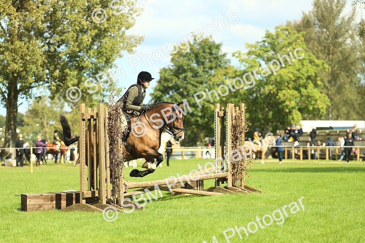 SBM_42093 - S29 - Novice & Newcomers Working Hunter Pony
