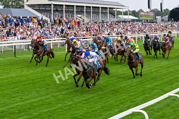 250725-Race 4-Dicko The Legend-0616 - Race 4 7.13pm Tomahawk Restaurants Handicap