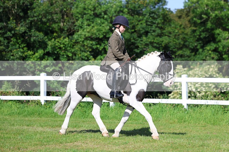 3E7A5954 - Class 27: Novice Working Hunter Pony