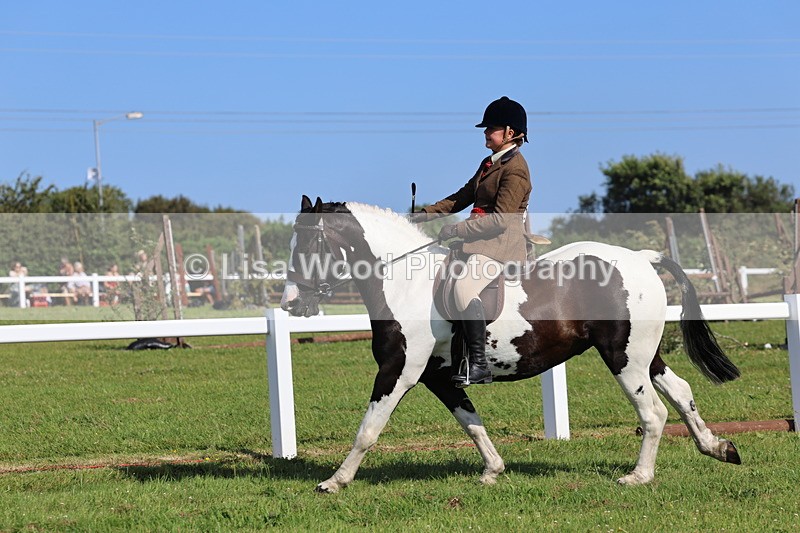 IMG_1659 - Skewbald and Piebald Ridden Championship