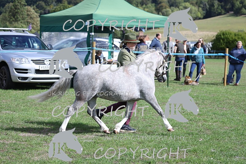 APP_2780 - Class 10a/b M&M in hand