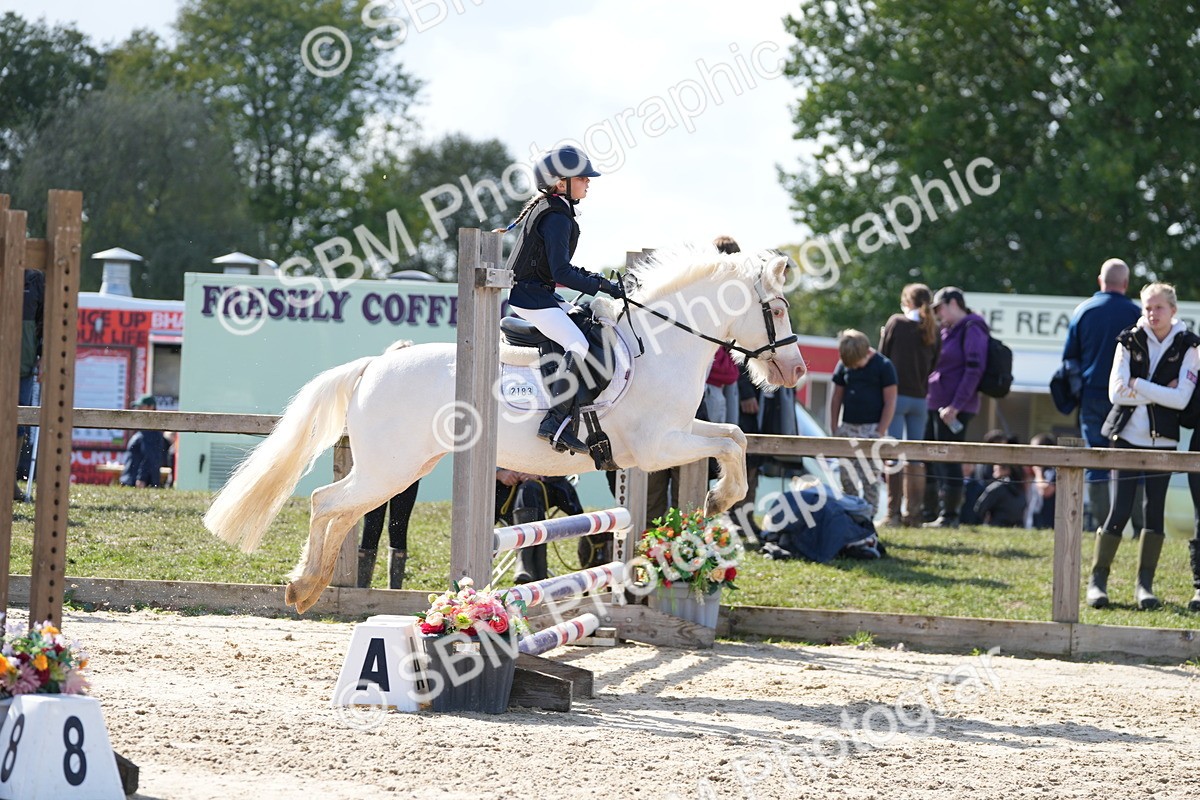 SBM_46551 - J7 - Junior Pony 60cm Championship