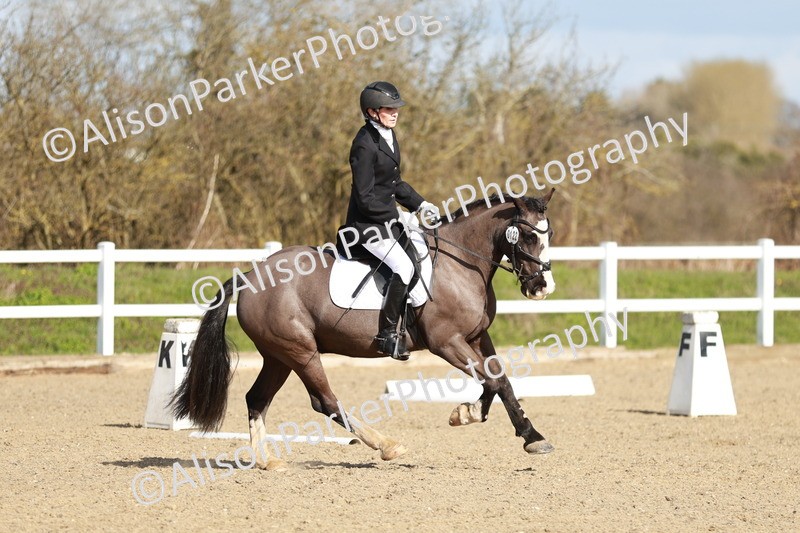 20260314-4356 - DR4 - Prelim 2