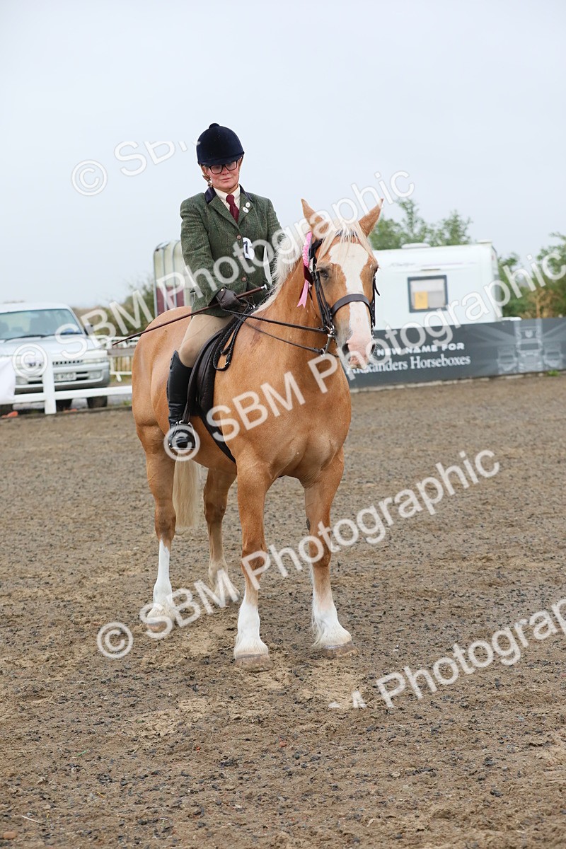 SBM_20396 - Class 803 - Ridden Combination 65+