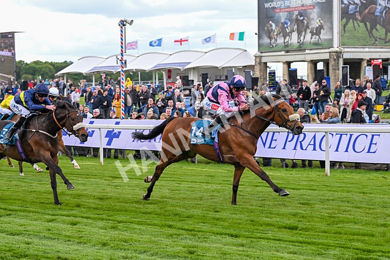 150526-Race 1-Zarathos-6915 - Race 1 1.45pm Yorkshire Equine Practice Handicap