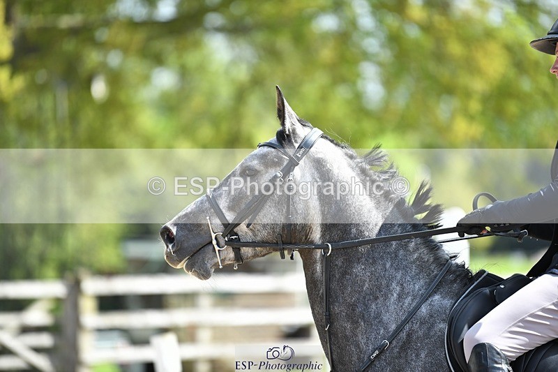230512-111326-00639 - Cls 10 Snr 85cm Schooling