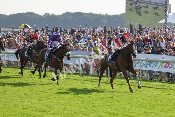 yr05092021r5-19 - Race 5 4.20pm Little Green Rascals Children's Nurseries Stakes