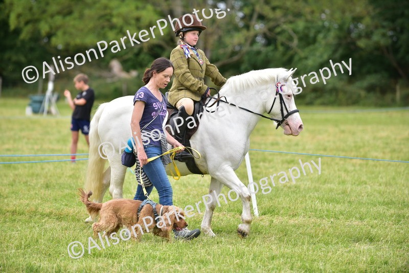 20260614-4518 - Class 19 - Cutest Pony, Rider and Dog Combination
