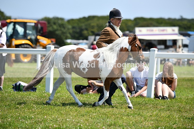 DSC_7599 - Class 64: Coloured Pony 4yrs & over