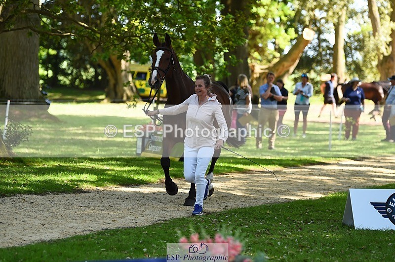 230524-153808-00401 - 368-COIRBAN_SARCO_DELUX-Rebecca_Gibbs-WEDTrotUp+DR