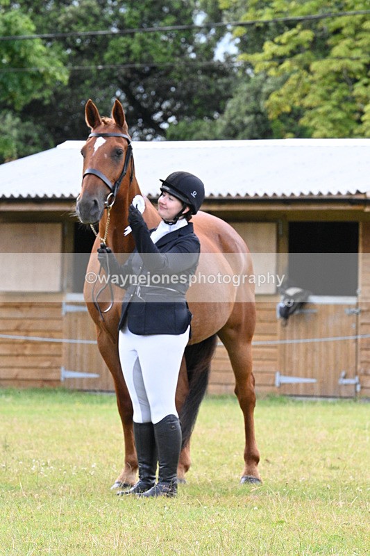 WJ7_7203 - Class 5a Most Handsome Gelding in Hand