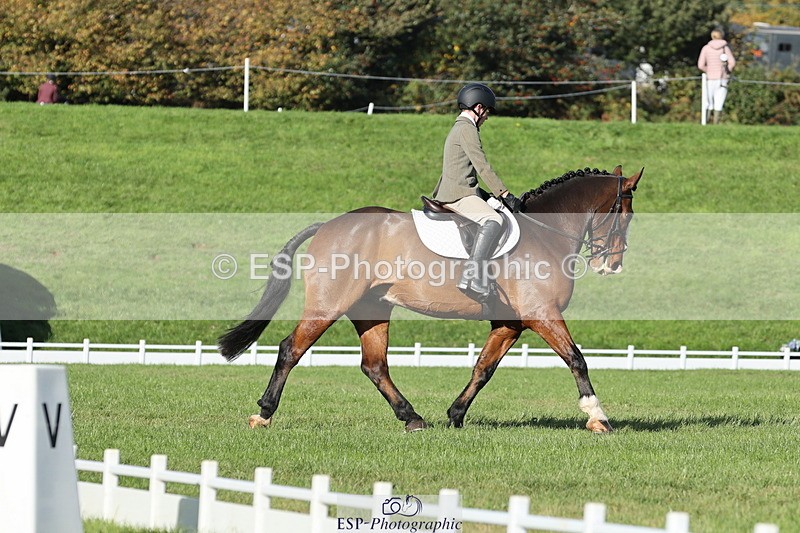 251024A-111913-09943 - D-351-Thomas.Harris