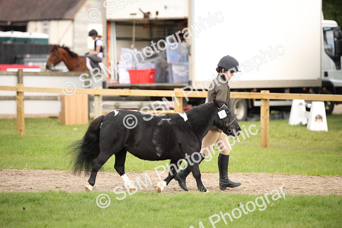 SBM_46330 - S25 - Mature Veteran In Hand