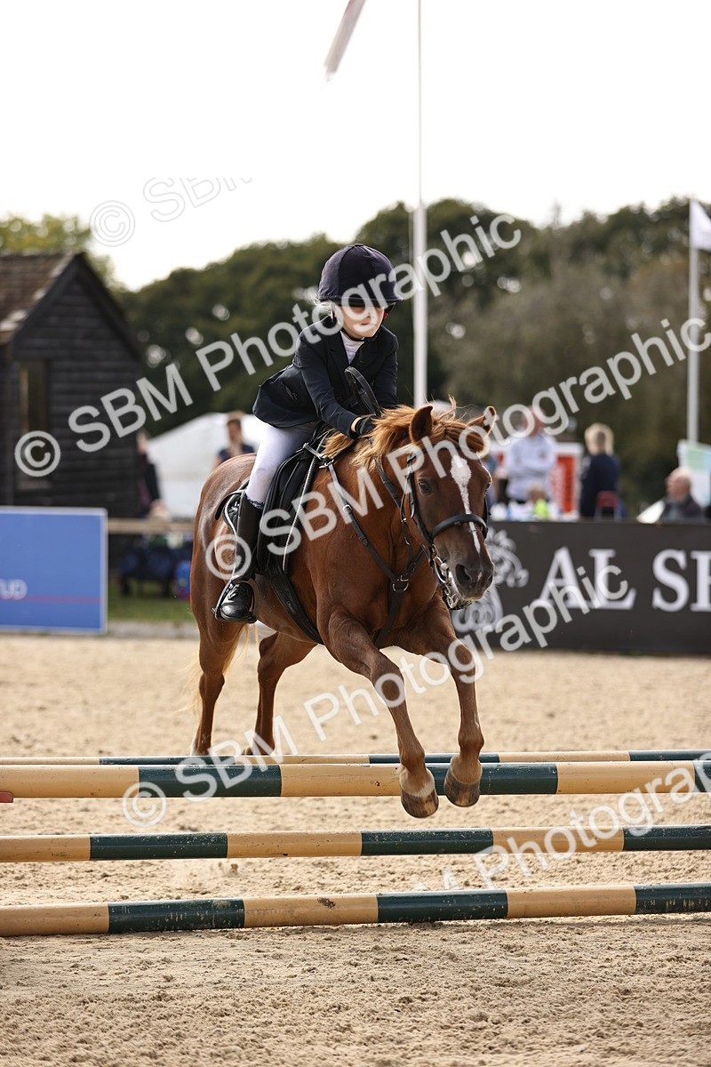 SBM_69439 - J13 - Junior Pony 60cm Championship