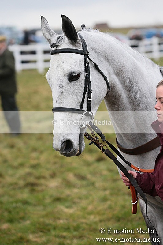 PtP 170219 -519 - Combined Services Point-To-Point Larkhill 17/02/19