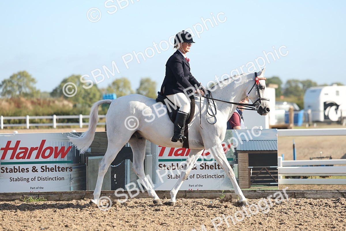 SBM_22105 - Class 801 - Ridden Veterans