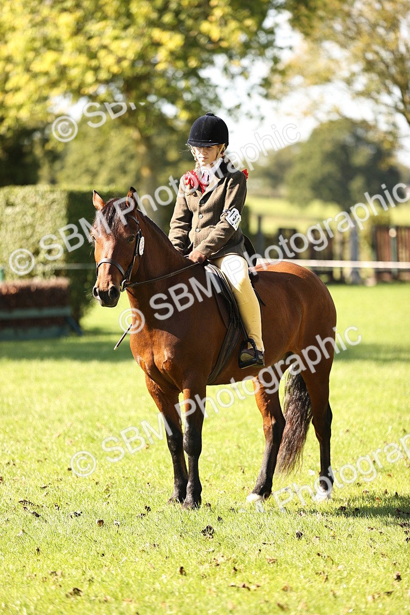 SBM_19181 - S3 - TSR Ridden Pony Showing