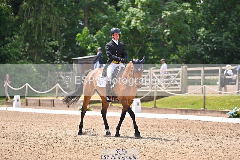 250523A-122910-06888 - C-284-Harry.Dzenis-KILBUNNY.MAXIMUS