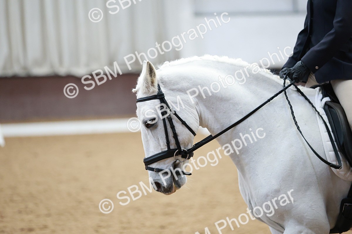 SBM_004032 - Class 2 - Novice 2020