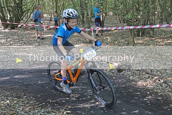 A41A8277 - MTB East Round 8 Betteshanger Kent 15th June 2025 Under 9s