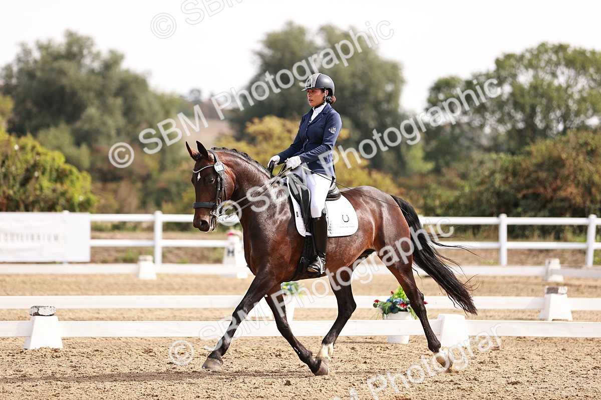 SBM_017566 - Class 11 - Advanced Medium 6