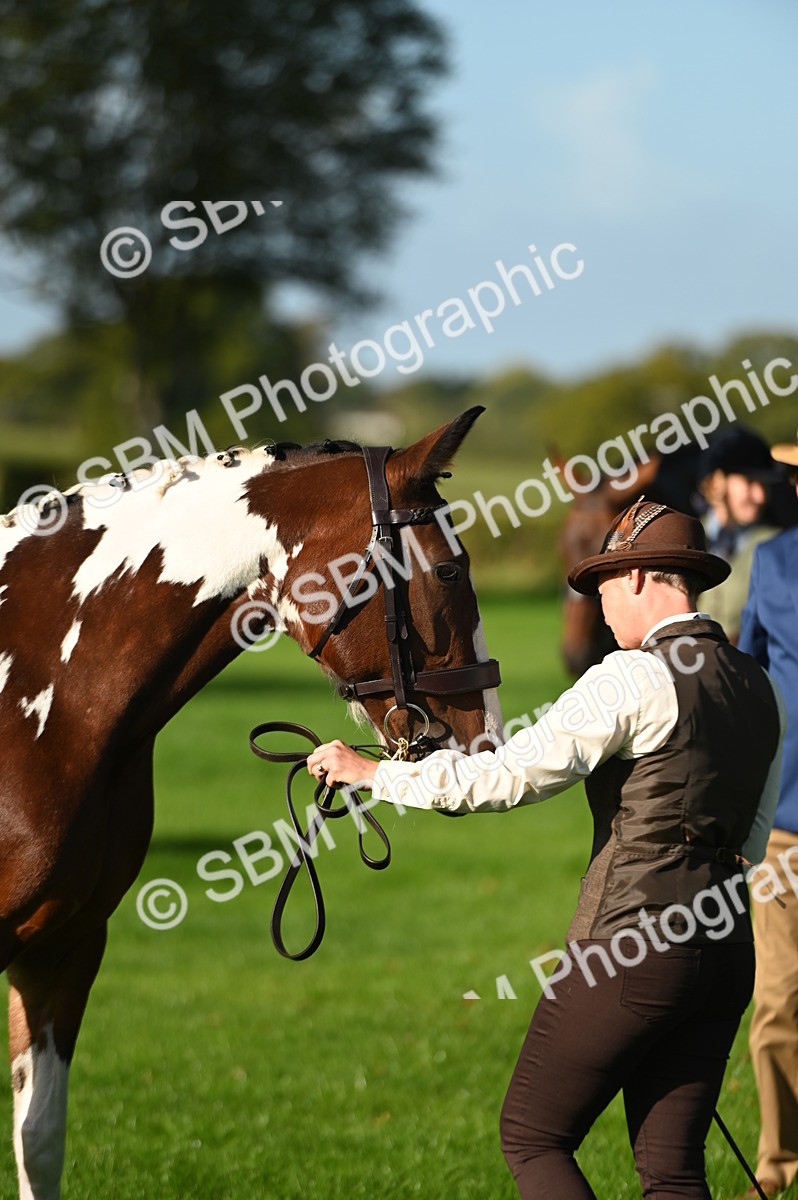 SBM_14788 - S1 - TSR in Hand Horse & Pony Showing