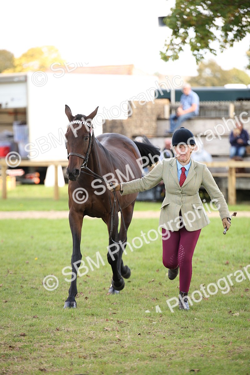 SBM_44429 - S24 - Young Veteran in hand