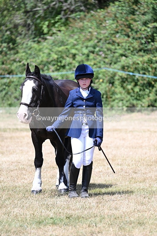 WJ7_2185 - Class 5 Most Handsome Gelding (up to 14.2hh) in hand