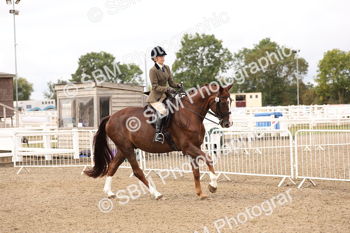 SBM_02816 - Class 53 - Ridden Competition Horse/Pony