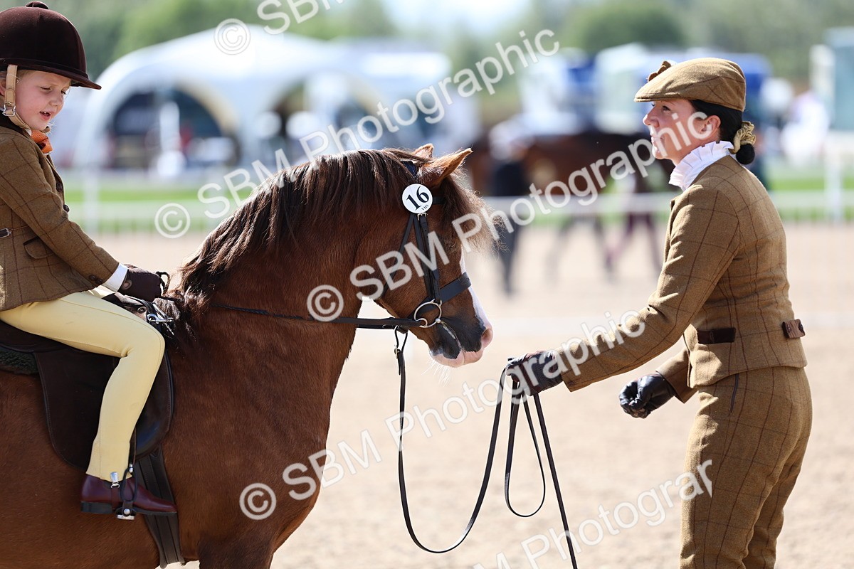 SBM_13064 - Class 309 - Lead Rein Pony
