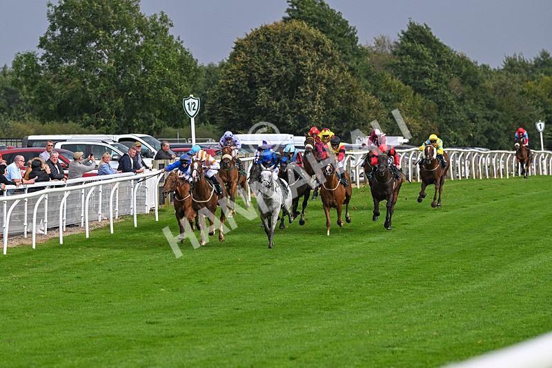 280824-Race 5-Hidden Pearl-4734 - Race 5