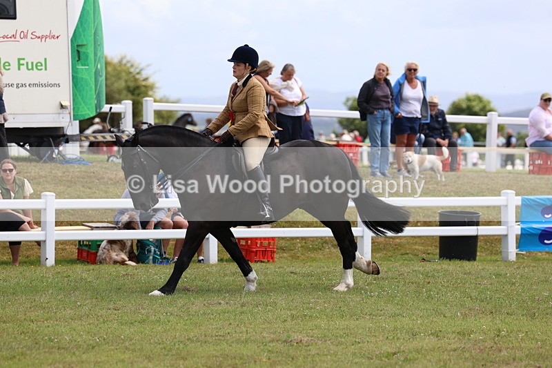 3E7A0596 - Rising Star Ridden Championship