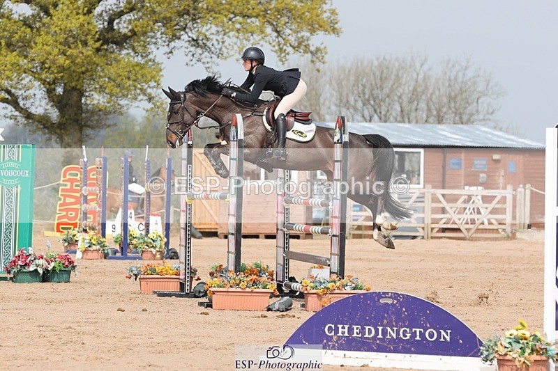 250424-105616-03303 - Cls 33 Young Horse 7yr old