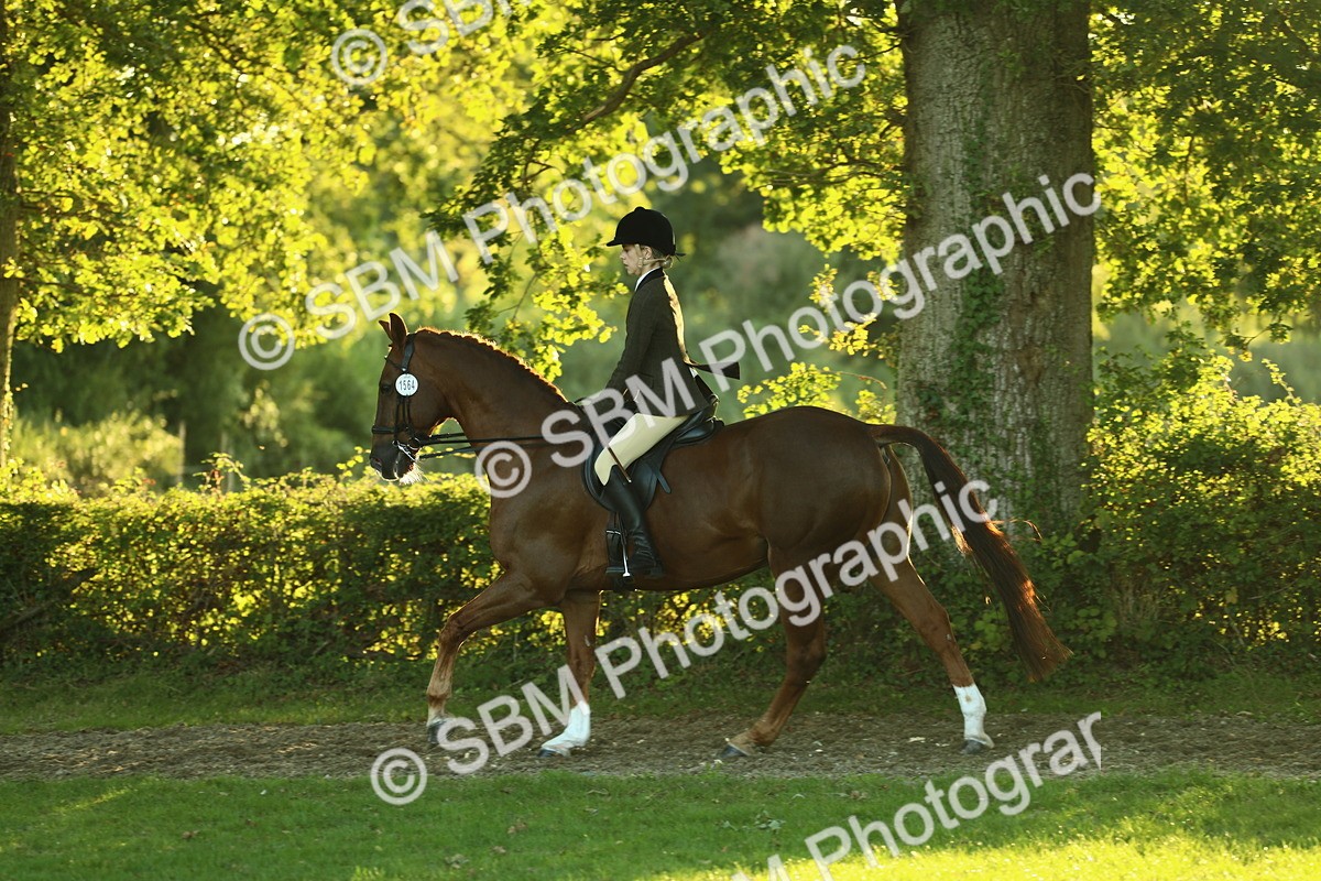 SBM_56454 - S14 - Riding Club Horse