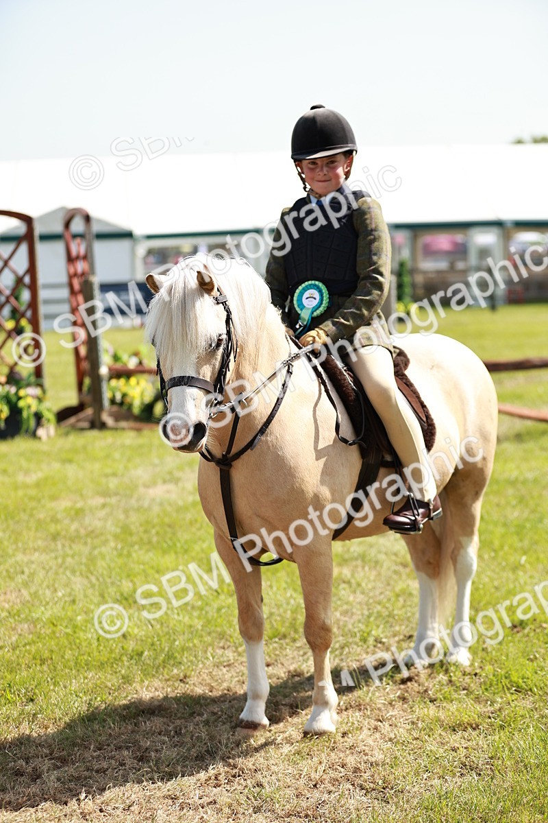 SBM_12817 - Class 106-107 - BSPS LIHS Working Sports Pony
