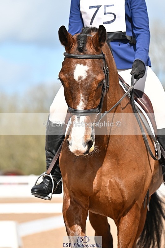 240324A-121731-02210 - Novice 28, 12.15 to 13.00